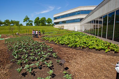 The Makers Garden is another example of how Kraft is earning a place in our community.