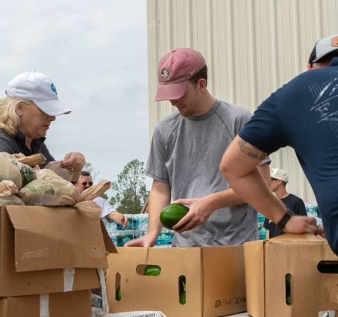 Food bank workers organizing food in boxes.