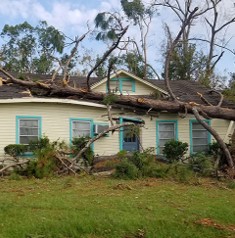 house with tree fallen on it