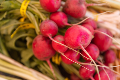 Bundle of turnips