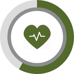 Heart Beat Pie Chart 58%