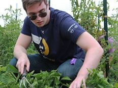 gardening