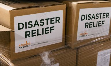 Boxes labeled as Disaster Relief.