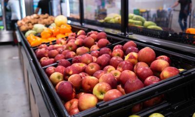 Apples in a bin at a pantry next to other fruit.