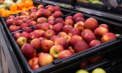 Apples in a bin at a pantry.