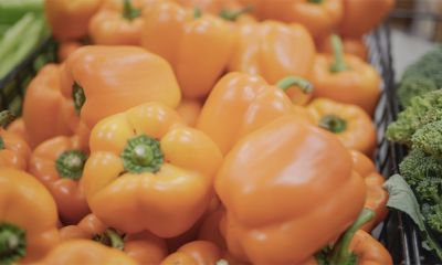 Orange peppers in a grocery store.
