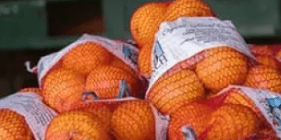 Bags of oranges