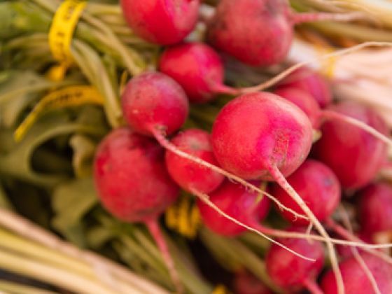 bundle of radish.
