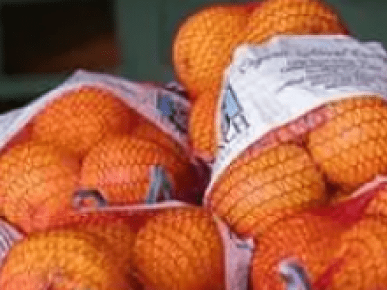 Bags of oranges