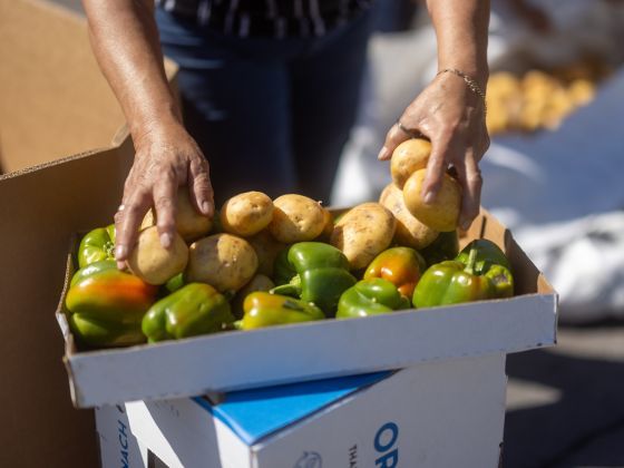 A box of potatoes and bell peppers.