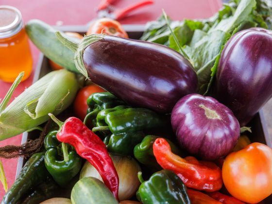A basket of fresh vegetables 