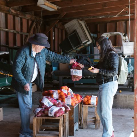 Ray Lodge of Feeding San Diego donating surplus from his citrus farm