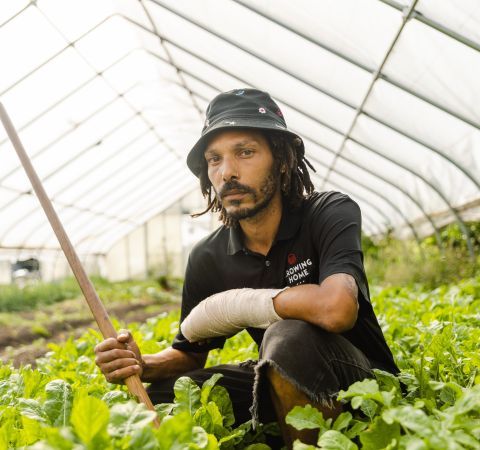A staff member in a greenhouse.