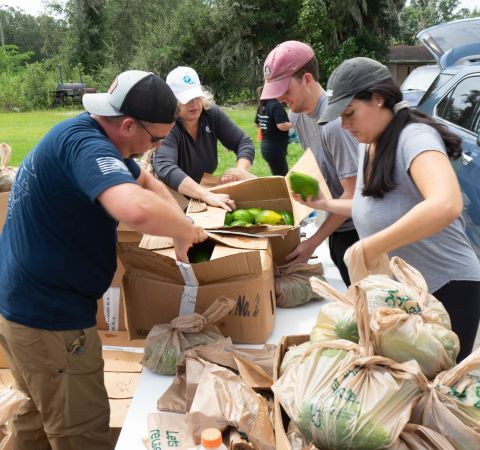 Volunteers sorting food boxes and bags.