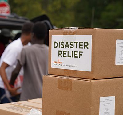 Disaster Relief boxes.