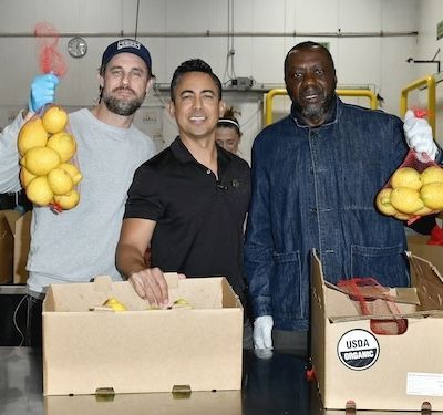 Three people packing fruits