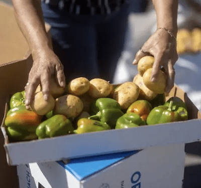 A box of potatoes and bell peppers.