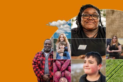 Elevating voices