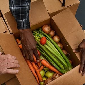 Hands reaching into box of produce