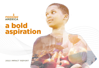 2022 annual report Impact Report cover