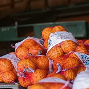 A pile of bags of oranges.