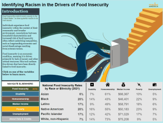The landing view of the Identifying Racism in the Drivers of Food Insecurity dashboard on Tableau Public