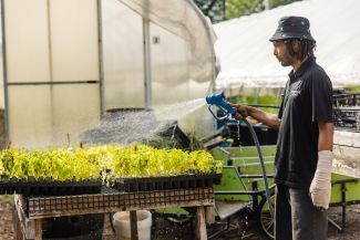 Photo of a farmer watering plants