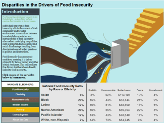 A Tableau dashboard looking at the disparities in the drivers of food insecurity.