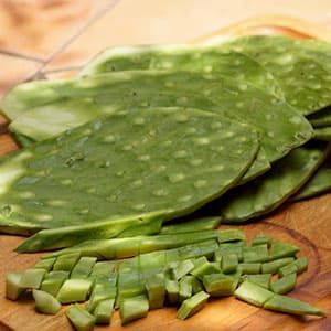 Cactus paddles otherwise known as Nopales