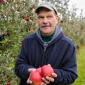 Apple farmer holding apples in field