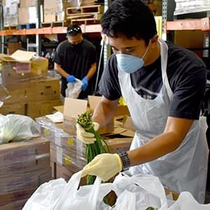 Volunteer packing asparagus into bag for food bank