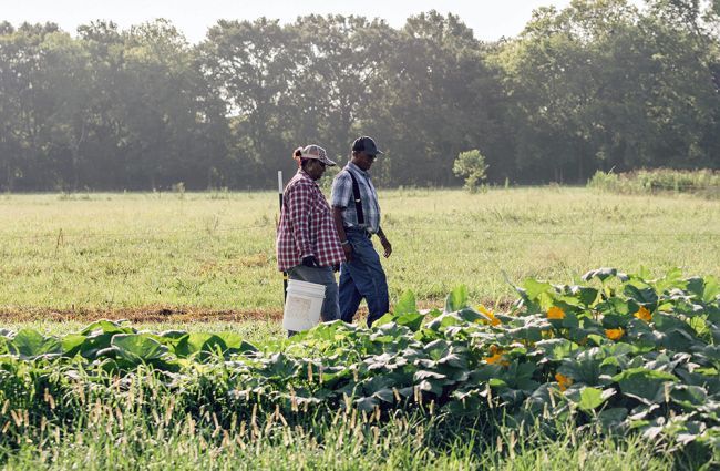 two people walking in a field.