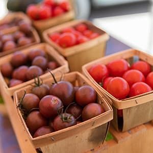 Wooden trays of cherry tomatoes.
