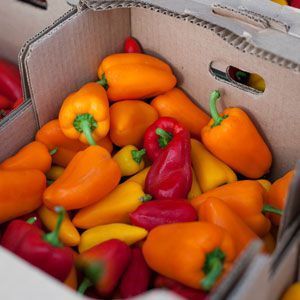Orange, yellow, and red peppers in a box.