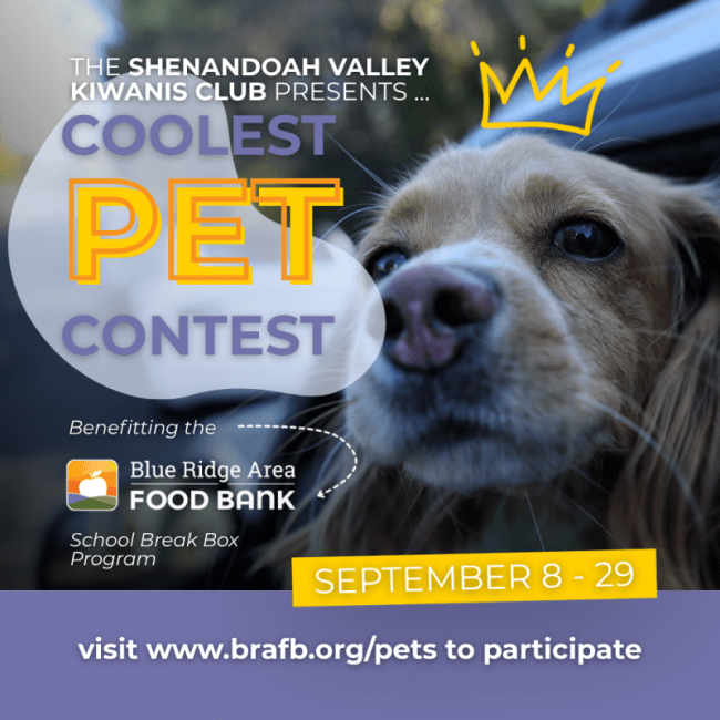 Coolest Pet Contest