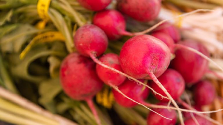 bundle of radish.