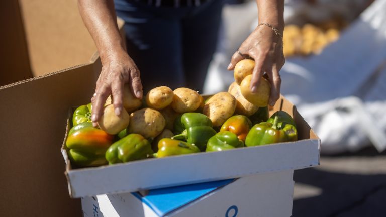 A box of potatoes and bell peppers.
