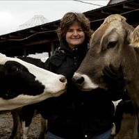 Woman Smiling with two cows 