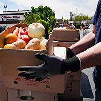 Volunteer wearing gloves and holding a box of donated produce