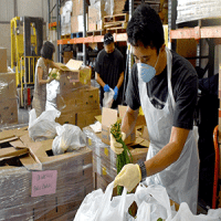 Elijah Dacany volunteering at Hawaii Foodbank. 