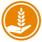 Icon of a hand holding wheat