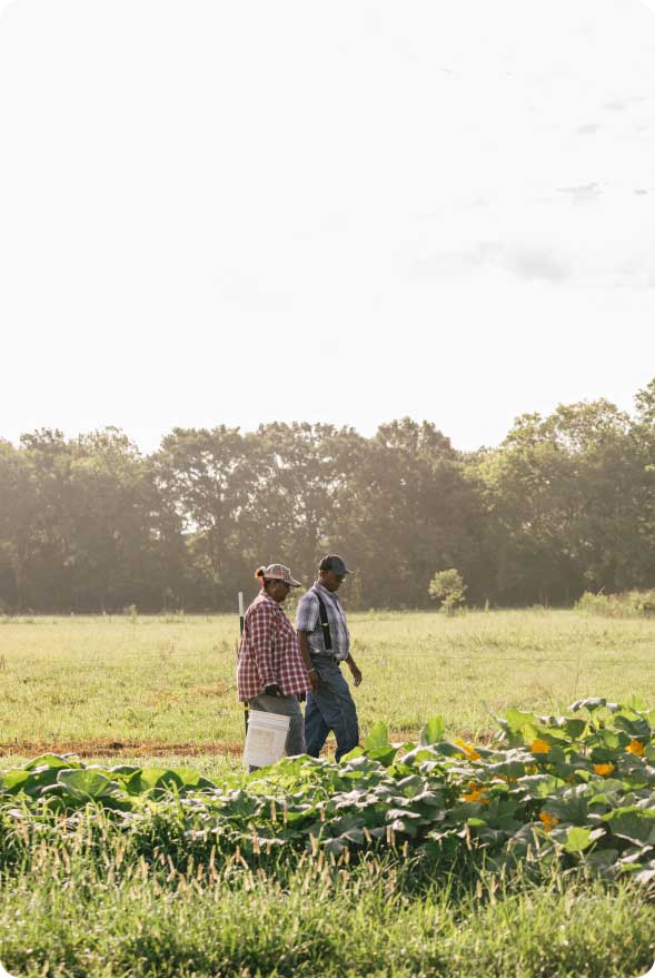 A couple walking on their farm.